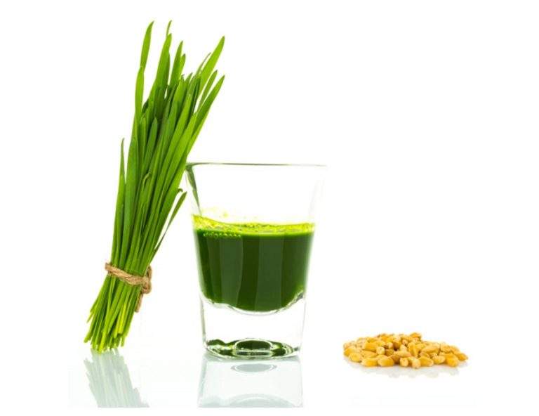 The Power of Wheatgrass Juice