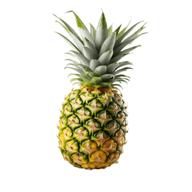 image fruit